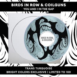 Birds in Row & Coilguns - You And I In The Gap - Trans Turquoise