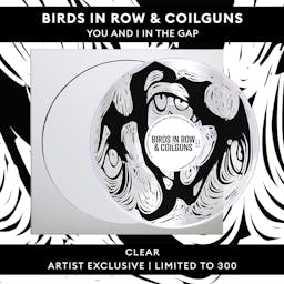 Birds in Row & Coilguns - You And I In The Gap - Clear