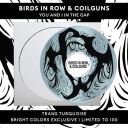 Birds in Row & Coilguns - You And I In The Gap - Trans Turquoise