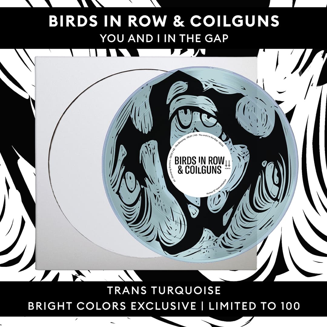 Birds in Row & Coilguns - You And I In The Gap - Trans Turquoise