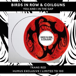 Birds in Row & Coilguns - You And I In The Gap - Trans Red